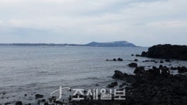 구석구석 슬로슬로 제주도 도보여행 (28) 30여 종 철새손님 맞는 하도리 포구…해안 길 걷다보면 종달리 아름다운 풍광에 넋 잃어