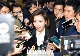 개혁보수신당 합류 거부한 나경원 