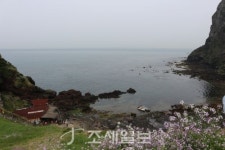 구석구석 슬로슬로 제주도 도보여행 (32) 성산 오조리 갯벌의 바지락잡이·광치기 해변서 보는 일출봉 해돋이 굿~