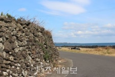 구석구석 슬로슬로 제주도 도보여행 (33) 학자 많은 성산 신풍리·김영갑갤러리 있는 삼달리 해안마을 걸어요