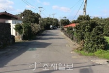 구석구석 슬로슬로 제주도 도보여행 (33) 학자 많은 성산 신풍리·김영갑갤러리 있는 삼달리 해안마을 걸어요