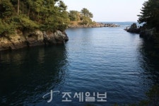 구석구석 슬로슬로 제주도 도보여행 (37) 거믄여~쇠소깍 기암괴석 감탄사 절로…보목포구 자리회 군침 꼴깍