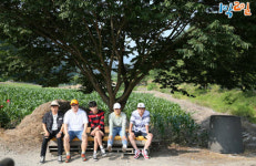 KBS 1박2일, 총 파업 여파로 녹화 취소…5년만에 제작 파행