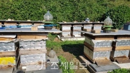  기장군 농업기술센터, 신기술보급 확산 최우수기관 선정