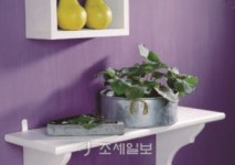 [전항수의 풍수산책] 좋은 기운이 넘치는 집은 만들어 진다