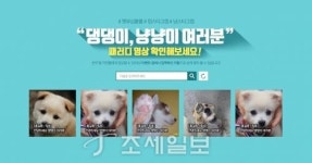 교보라이프플래닛, 펫사랑m정기보험 영상 패러디 이벤트