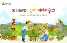  상하농원, 상하 베리마을 축제 개최