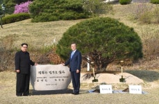 [4.27 남북정상회담] 南北 공동기념식수...정주영 소떼 길에 소나무 심어