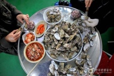  통영, 보령 잊게 만드는 진도 굴