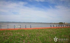  안면도 바라보며 달리는 홍성-보령간 해안도로 드라이브