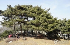  둘레길같이 부담 없는 광명시 종주산행, 도덕산-구름산-가학산-서독산