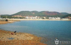  바닷속 경주 신진도 주변 인기 여행 코스