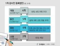 빅4 포함 20개 회계법인, 상장사 감사인으로 등록