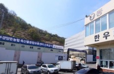 김해 부경축산 화재…신축 건물서 원인 모를 불 치솟아