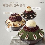 설빙,   쑥·흑임자·인삼 담은 건강 빙수 ‘웰빙설빙 3종’ 출시