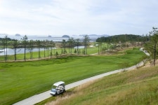 골프 카트서 떨어진 50대男 사지마비…캐디는 금고형