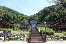 100년 된 소나무 숲이 지닌 치유의 힘, 국립대관령치유의숲