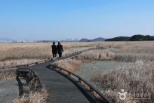 사라질 풍경이 들려주는 겨울 연가, 화성 우음도