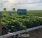 CJ제일제당, “지구 환경보호 위해 아마존 대두 구매 않겠다”