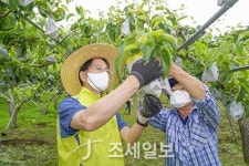 NH농협금융지주 손병환 회장, 농촌 일손돕기 지원 적극 나서