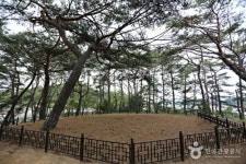 [여행] 배 타지 않고 떠나는 완벽한 섬 여행, 완도 고금도