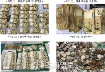 지난해 손상화폐 2조원대…현금 사용 줄면서 전년比↓