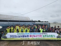 NH농협생명, 남서울농협과 ‘농촌일손돕기’ 실시…임직원 50명 ‘구슬땀’