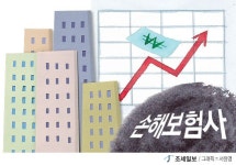 [주가동향] 역대급 실적 및 車보험 손해율 양호에 손보사 보험주 여전히 상승세