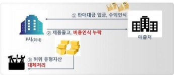 금감원, 상반기 심사·감리 지적사례 13건 공개…투자주식 4건 ‘최다’