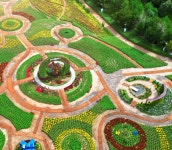 꽃으로 물든 내설악…강원 인제군 가을꽃죽제 28일 개막