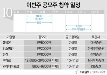 이번 주 공모주 ‘슈퍼위크’... 셀비온·인스피언 등 5개 기업 나선다