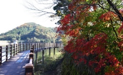 머릿속 비우고 싶다면...사색하며 걷기 좋은 명상길 어디?