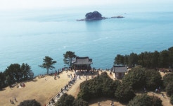 낙화가 더 아름답다...3월에 가야 장관인 동백꽃 명소 3선