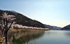 그저 걷기만 해도 좋다...저수지 품은 수변 산책로 어디?