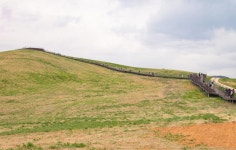 김종필 목장으로 불렸던 이곳...개장 4개월 만에 입소문