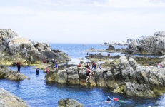 지루할 틈이 없네...삼척 장호항의 숨겨진 반전 매력