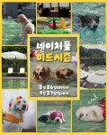 더존비앤씨티 강아지숲, ‘네이처풀 미드시즌’ 사전 예매 오픈