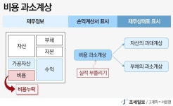 분식회계의 유형-비용 관련, 기타 [재무회계] 회계부정 적발과 분식회계 중심으로