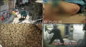 개밥먹는 남자, 형 학대한 동생에 시청자 경악