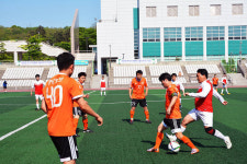 함성과 탄성, 땀과 열정이 어우러진 축제 한마당