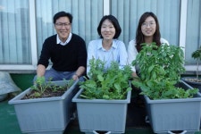 요즘 경향 기자들, 사옥 옥상에 드나든다는데…