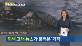 주 4일 로컬뉴스 40분 KBS제주의 이색 실험
