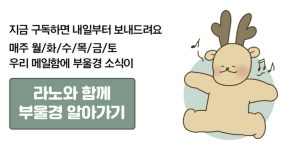 3년 만에 팝업·어뷰징 사라진 국제신문… 지역 공동체 가치 구현 고민