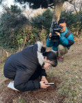 산에 버려지는 집토끼… 제주·수원·상암 3분30초에 담다