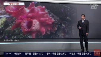 방심위 과징금 부과 비판한 MBC 보도에도 법정제재