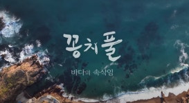 바다 입수만 100회… 꽁치풀 찾아나선 1년 여정 다큐로