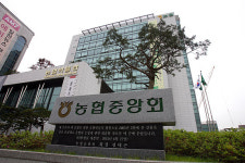 궤양 앓는 ‘공룡’ 농협 수술 안하면 ‘멸종’하나