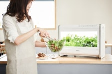 웰스, 웰스팜 모종 숙면채 추가…식물재배기 경쟁력 강화