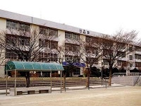 초등학생에 영어 가르치는 ‘AI 로봇’ 확산… 서울 신화초 도입 효과