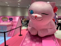 [르포] 앱 밖으로 나온 온라인플랫폼…‘각양각색’ 매장 가보니